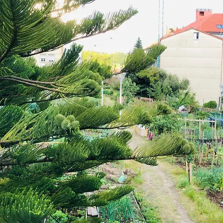 Sixtos No Caminho - No Bike Storage