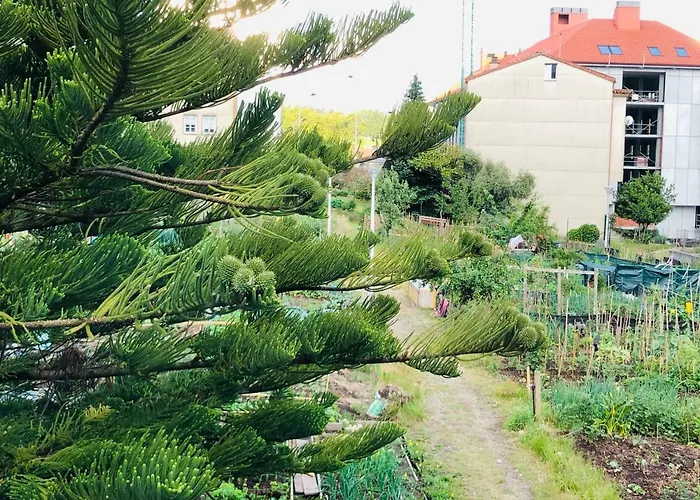 Sixtos No Caminho - No Bike Storage